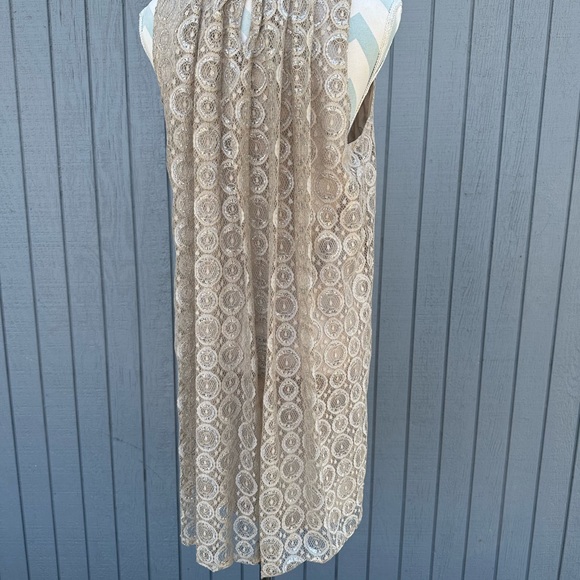 Alfani Taupe Lace Dress - Picture 7 of 12